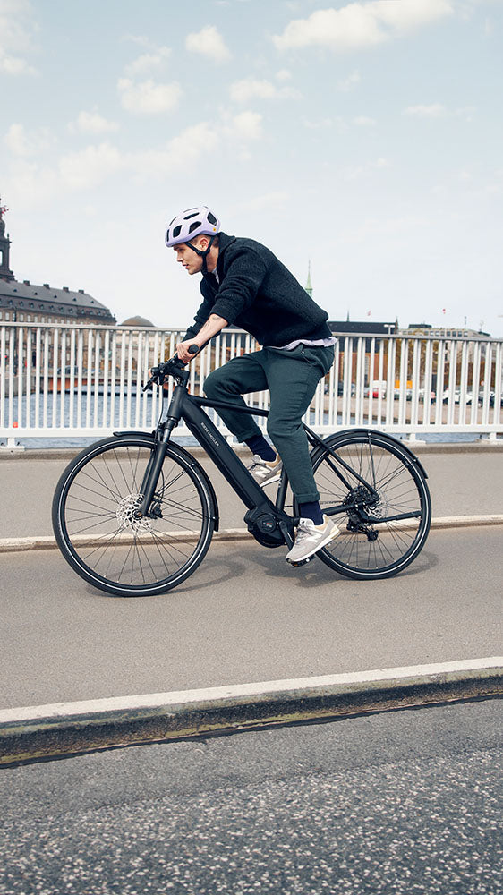Riese & Müller Roadster4 in Black