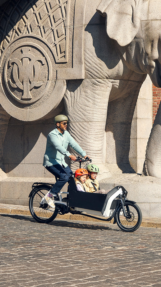 Riese & Müller Transporter2 65 electric cargo family bike in White