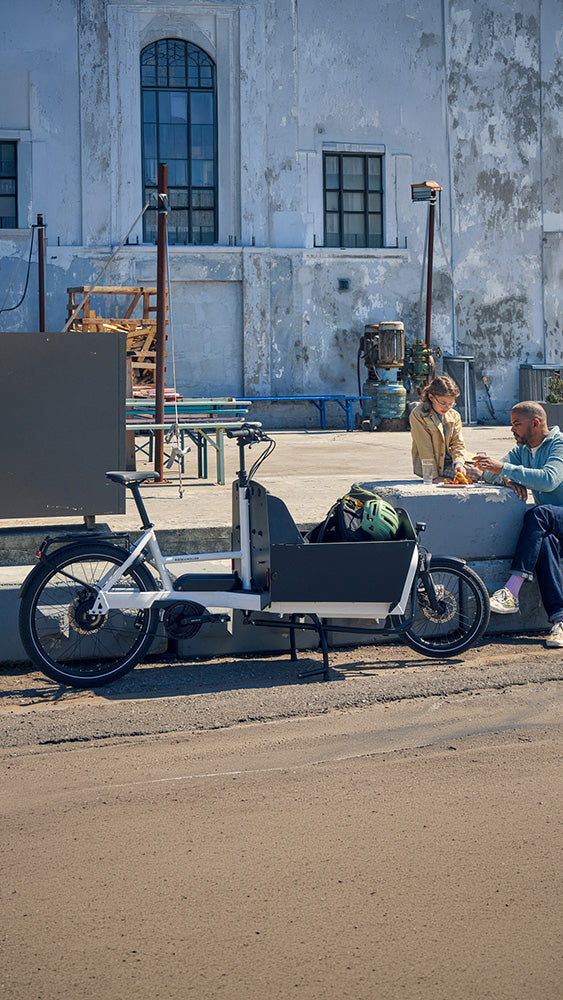 Riese & Müller Transporter2 65 electric cargo family bike in White