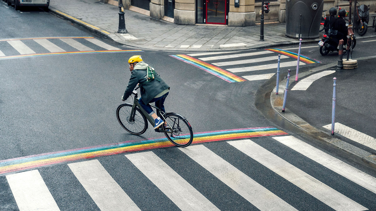 Riese & Müller UBN Five Cycle to Work