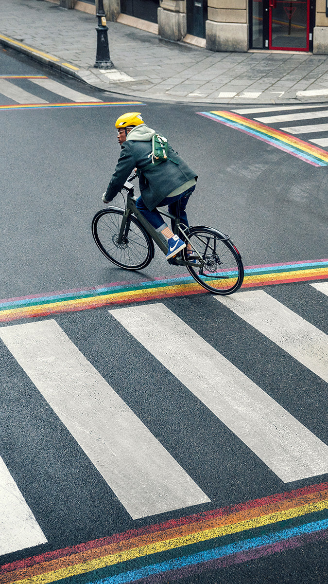 Riese & Müller UBN Five Cycle to Work