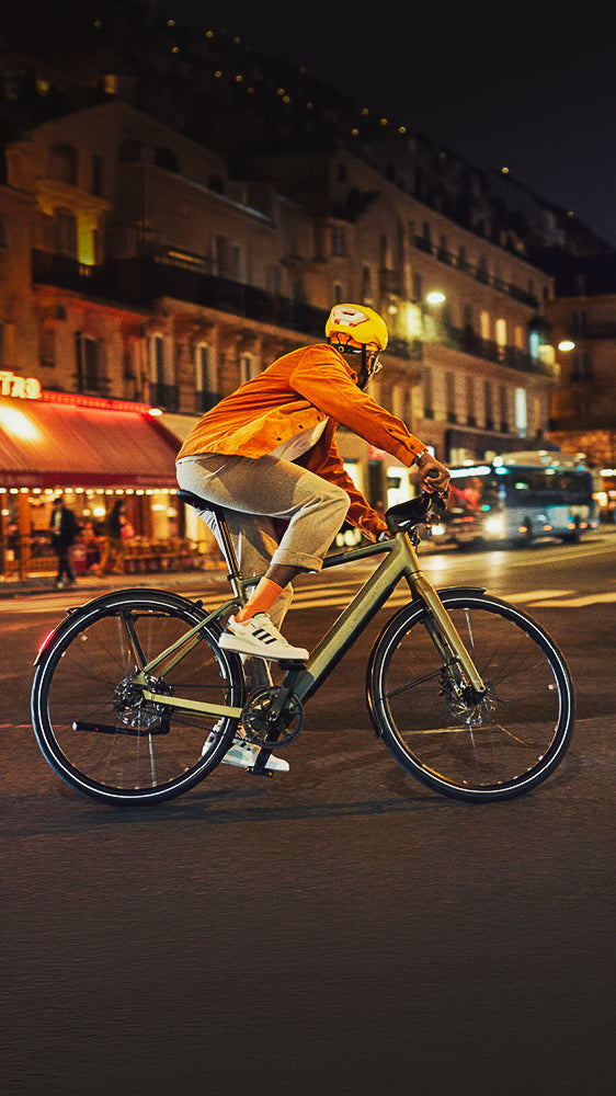 Riese & Müller UBN Five urban electric bike