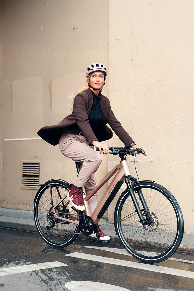 Riese & Müller UBN Seven in Rose