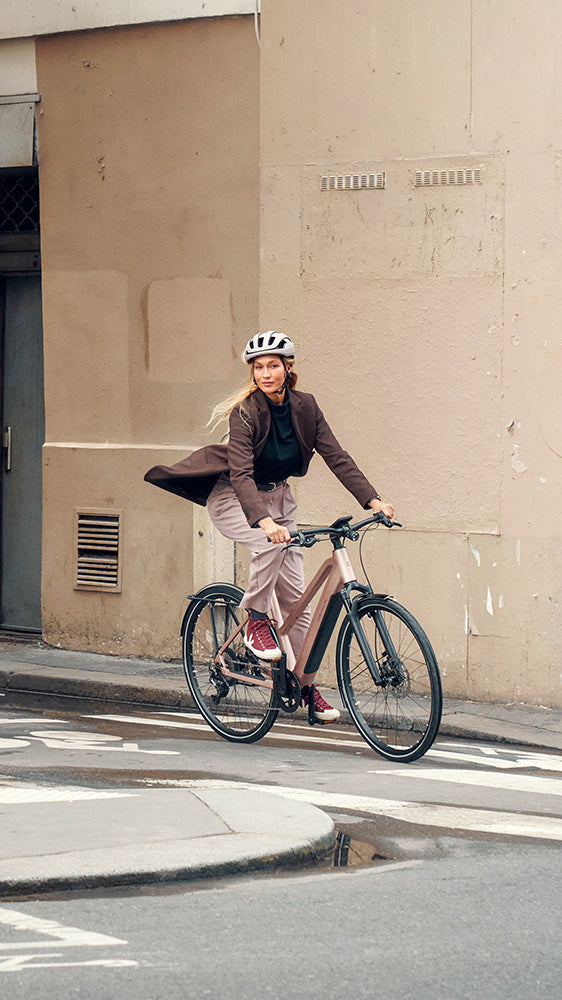 Riese & Müller UBN Seven in Rose