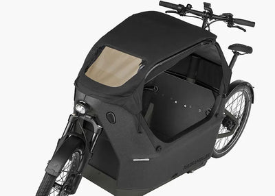 Riese & Müller Packster2 70 Buggy Option