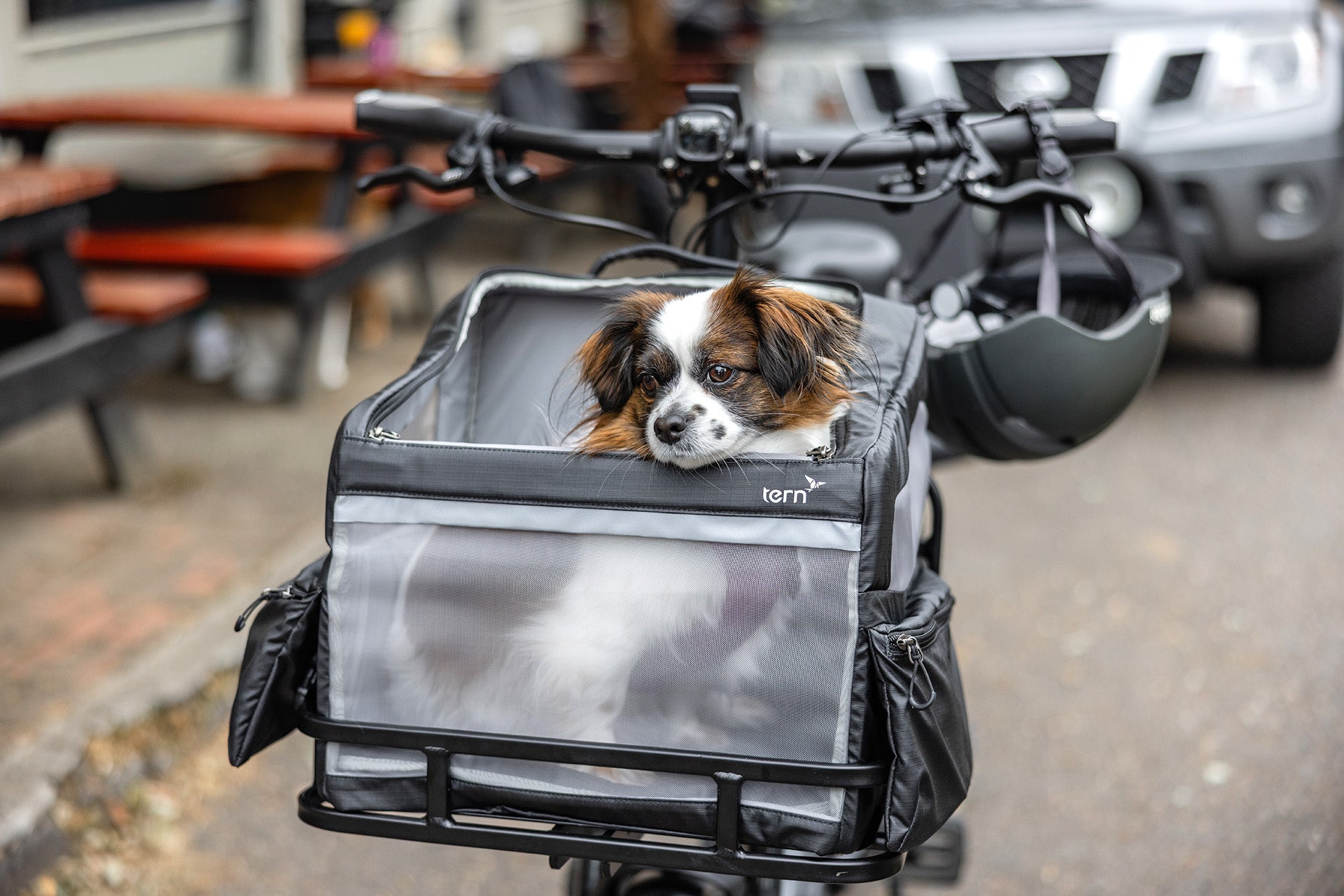 Tern HSD Gen 3 electric cargo bike carrying a dog