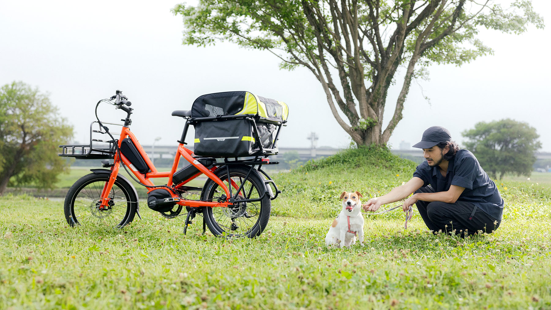 Tern Quick Haul dog carrying e-bike