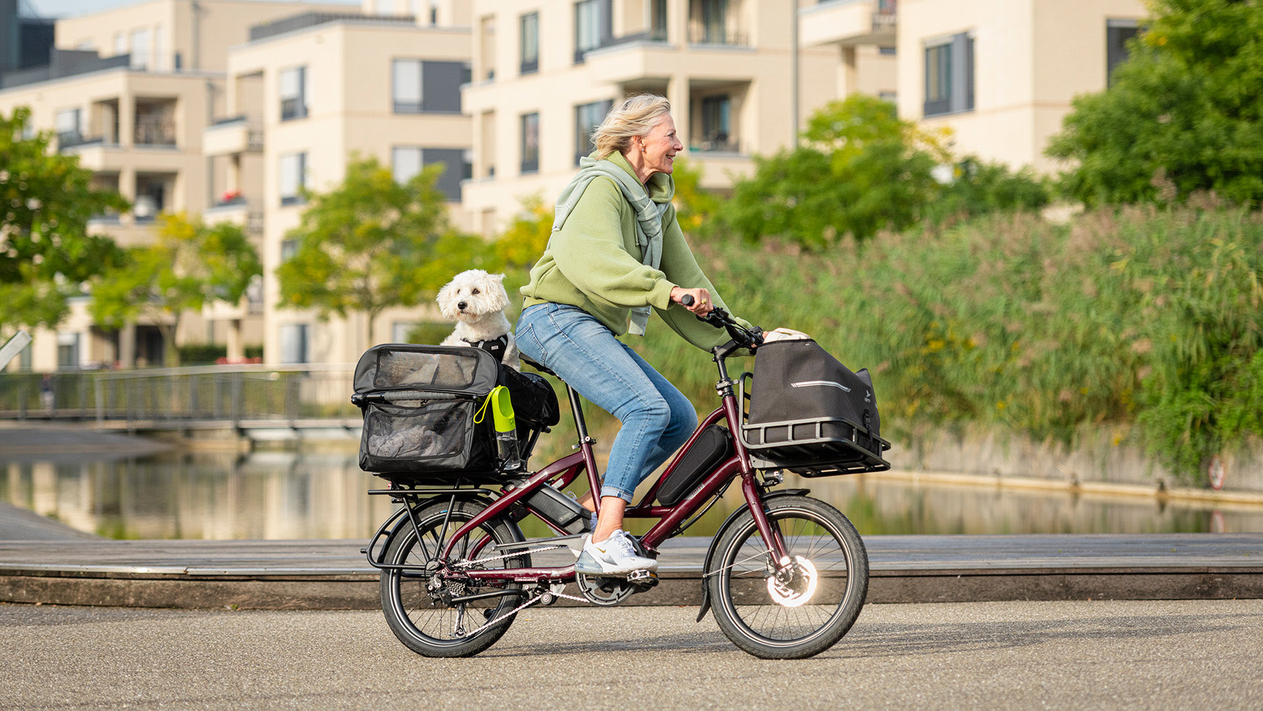 Tern Quick Haul dog carrying e-bike