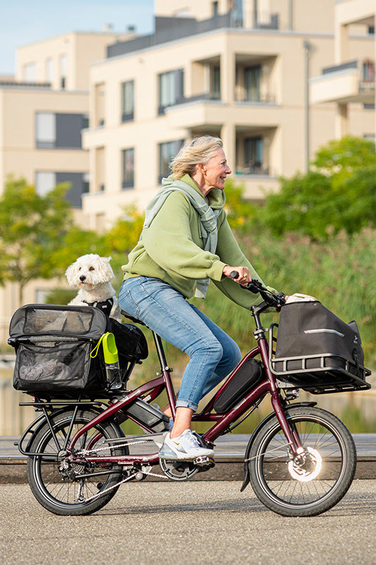 Tern Quick Haul dog carrying e-bike