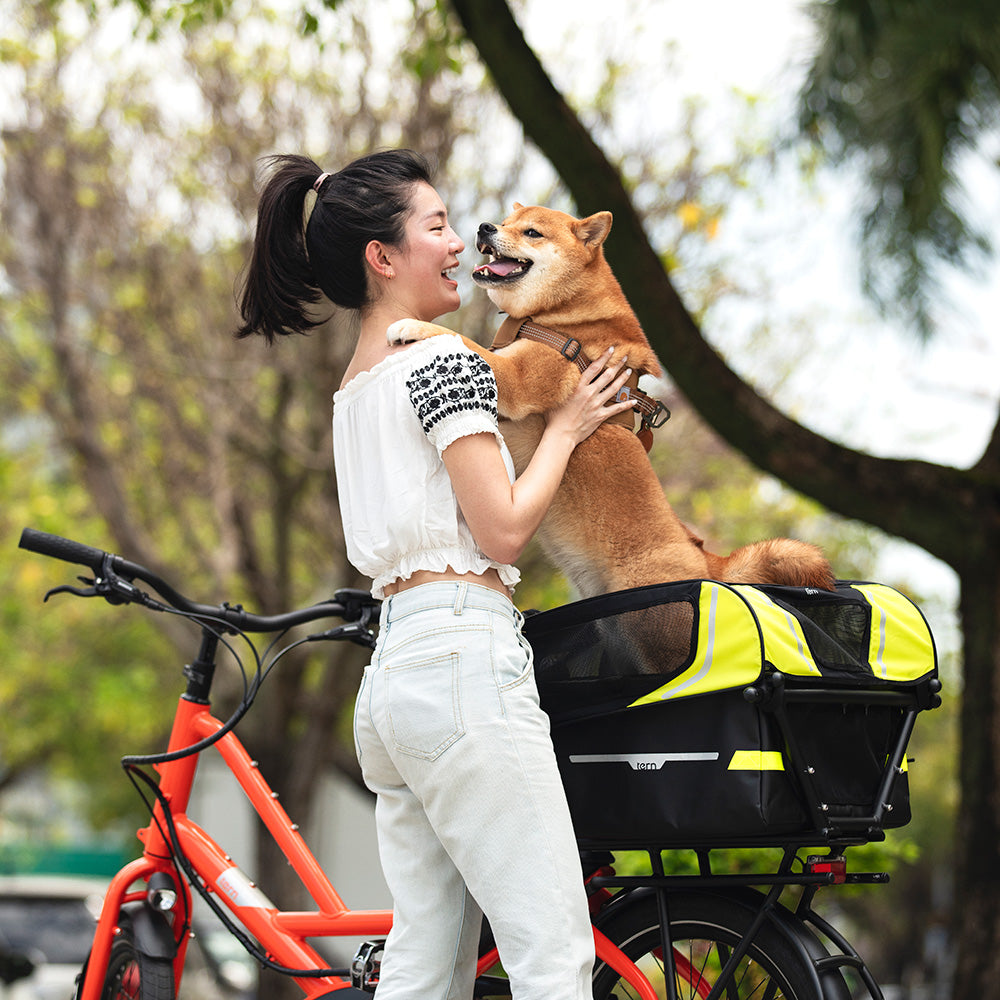 Tern Quick Haul electric longtail bike Dog House Mini