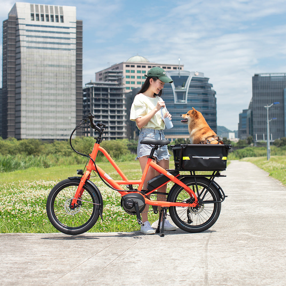 Tern Quick Haul electric longtail for pets
