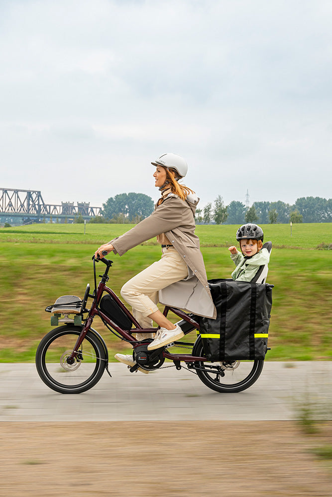 Tern Quick Haul family bike for one child