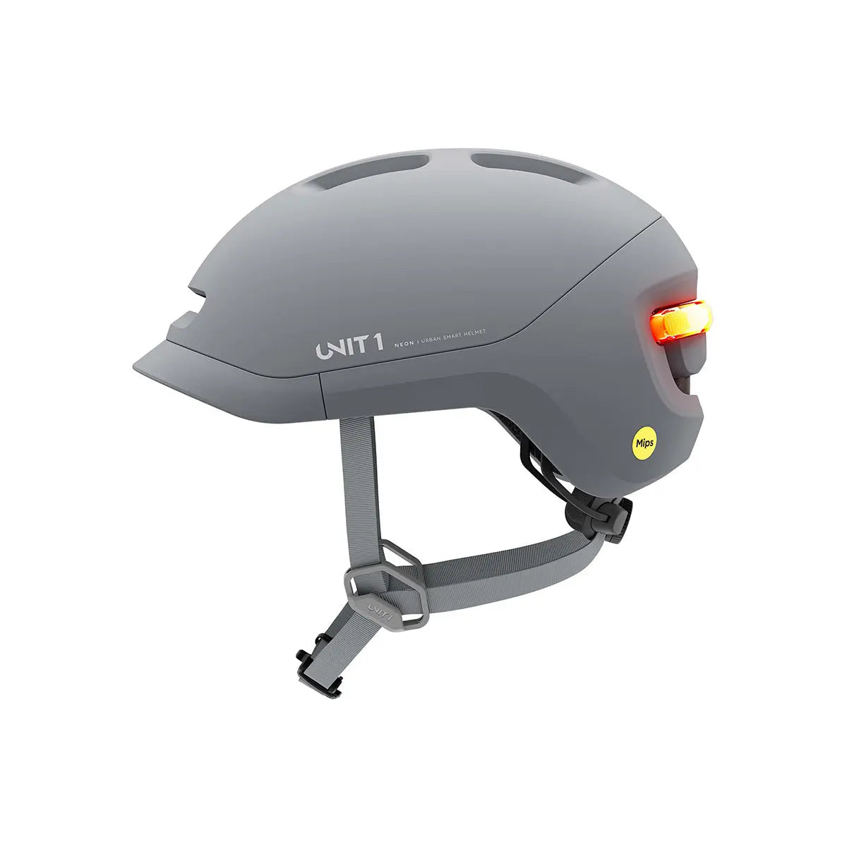 UNIT 1 NEON